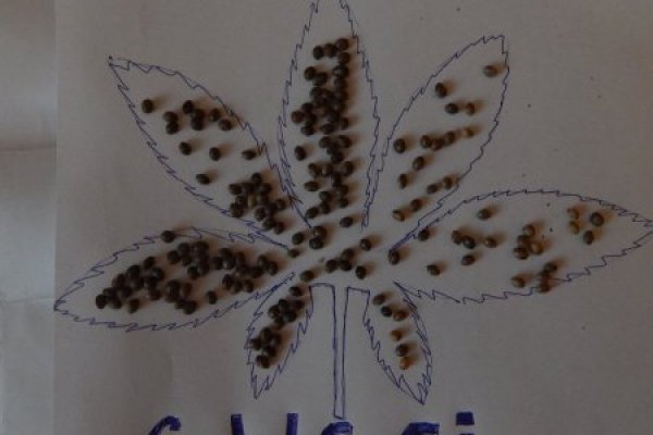 Кракен рабочая ссылка тор
