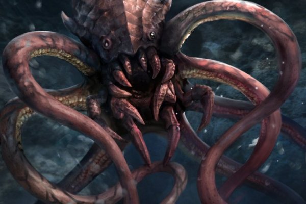 Kraken forum