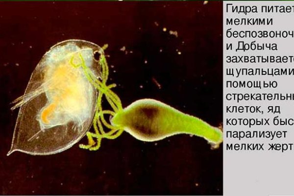 Кракен маркетплейс ссылка