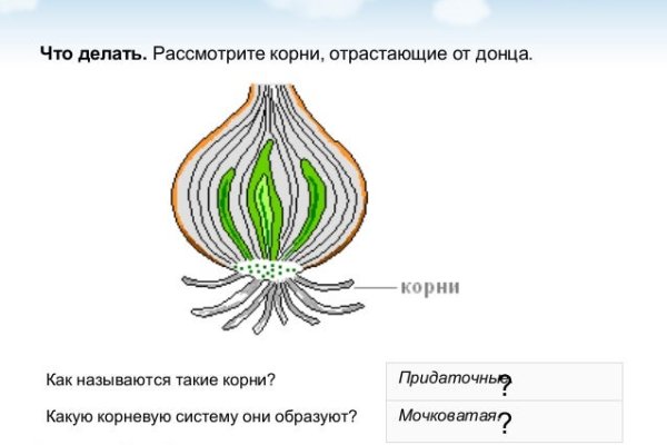 Ссылка на кракен реальная